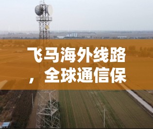 飞马海外线路，全球通信保障方案