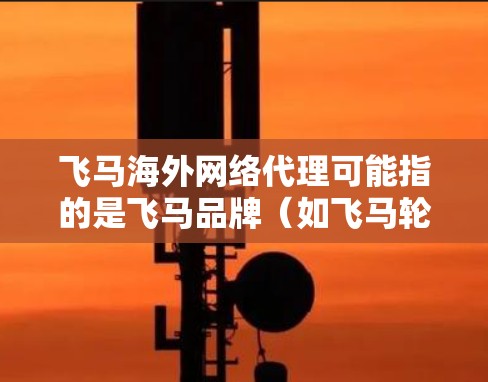 飞马海外网络代理可能指的是飞马品牌（如飞马轮胎或其他飞马相关产品）在海外市场的代理商或经销商业务。以下是一些可能相关的信息和建议