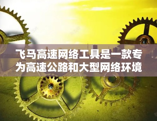 飞马高速网络工具是一款专为高速公路和大型网络环境设计的网络优化工具，旨在提高网络性能。以下是解决其可能问题的详细步骤