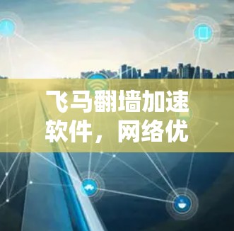 飞马翻墙加速软件，网络优化与智能技术的结合