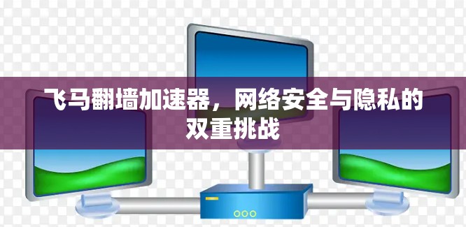 飞马翻墙加速器，网络安全与隐私的双重挑战