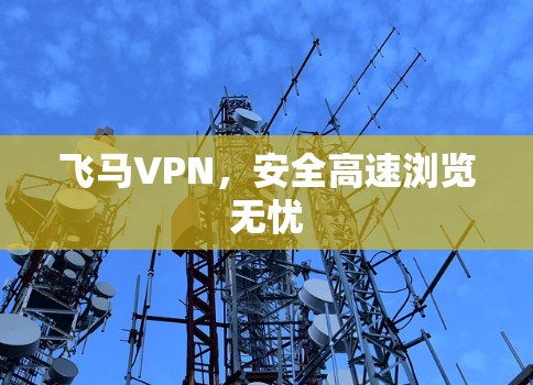 飞马VPN，安全高速浏览无忧
