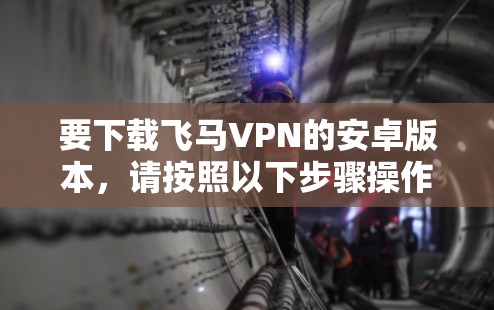 要下载飞马VPN的安卓版本，请按照以下步骤操作