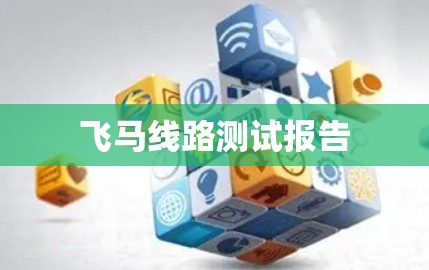 飞马线路测试报告