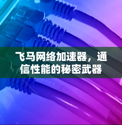 飞马网络加速器，通信性能的秘密武器