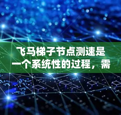 飞马梯子节点测速是一个系统性的过程，需要按照以下步骤进行