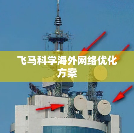 飞马科学海外网络优化方案