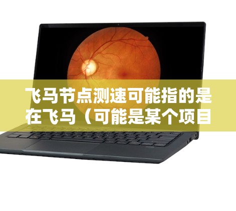 飞马节点测速可能指的是在飞马（可能是某个项目或品牌）的网络节点上进行性能测量或测试。以下是一些可能的解释和步骤