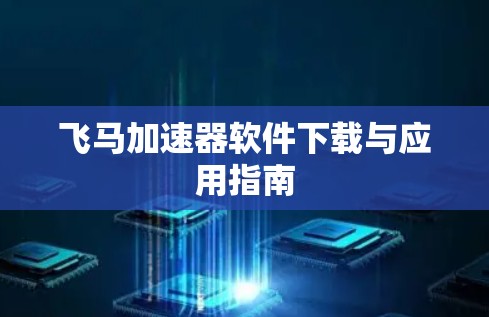 飞马加速器软件下载与应用指南