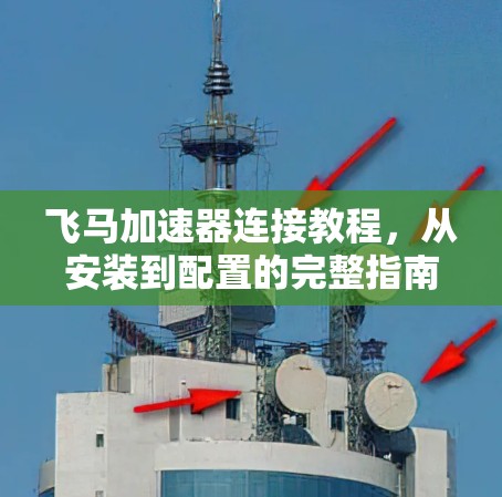 飞马加速器连接教程，从安装到配置的完整指南