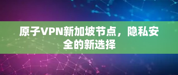 原子VPN新加坡节点，隐私安全的新选择