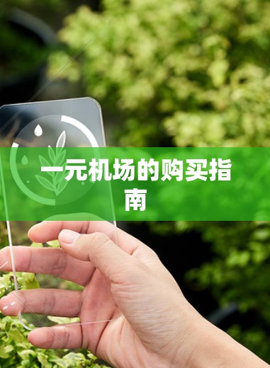 一元机场的购买指南
