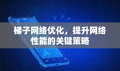 梯子网络优化，提升网络性能的关键策略