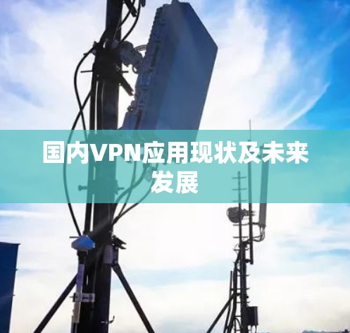 国内VPN应用现状及未来发展