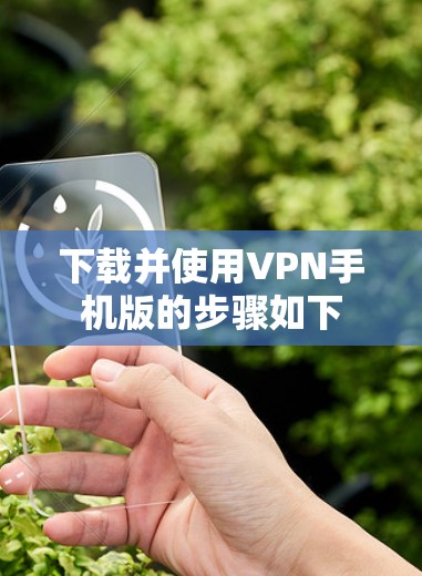 下载并使用VPN手机版的步骤如下